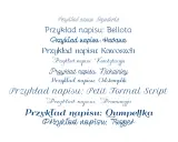 Przykłady napisów w różnych stylach, pokazujące darmowe fonty z polskimi znakami.