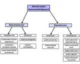 Schemat przedstawia metody badań neuromarketingowych: neurometryczne (przepływ krwi, elektryczne) i biometryczne (somatyczne, autonomiczne).