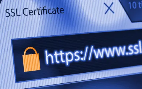 SSL Certificate: kłódka i https://www.ssl - to znak, że strona jest bezpieczna.