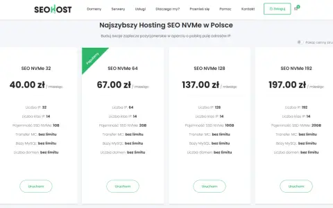 Oferty hostingu SEO NVMe: 32 IP za 40 zł, 64 IP za 67 zł, 128 IP za 137 zł, 192 IP za 197 zł miesięcznie.